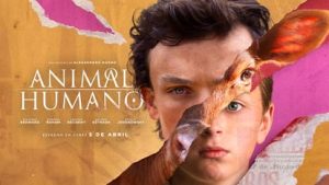 Cartel oficial de la película 'Animal | Humano'