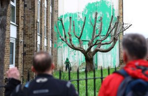 La nueva pintura callejera de Banksy abre el debate sobre la degradación del arbolado urbano | Clima y Medio Ambiente