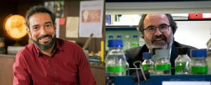 Pere Estupinyà y Lluís Montoliu, Premios CSIC-Fundación BBVA por la calidad y el amplio impacto de su trabajo divulgativo | Ciencia